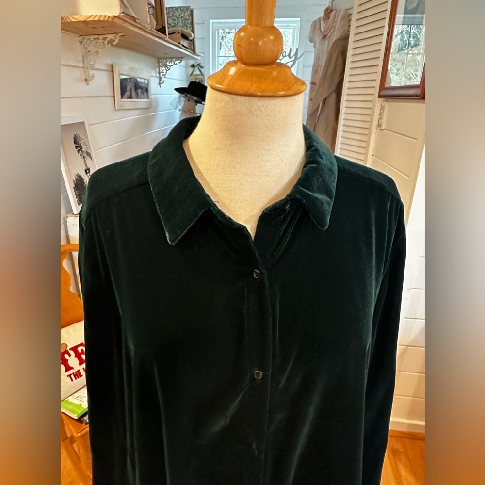 Beautiful dk green lush velvet shirt